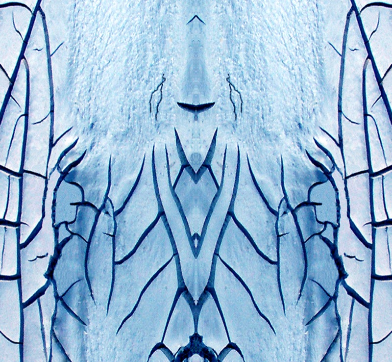 507986001_c6dfeee1f0_o.jpg