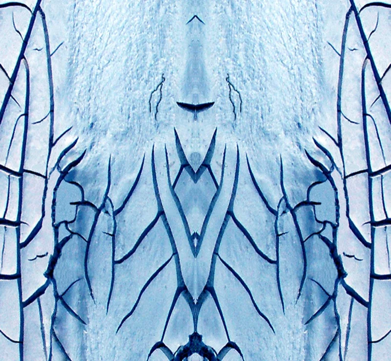 507986001_c6dfeee1f0_o.jpg