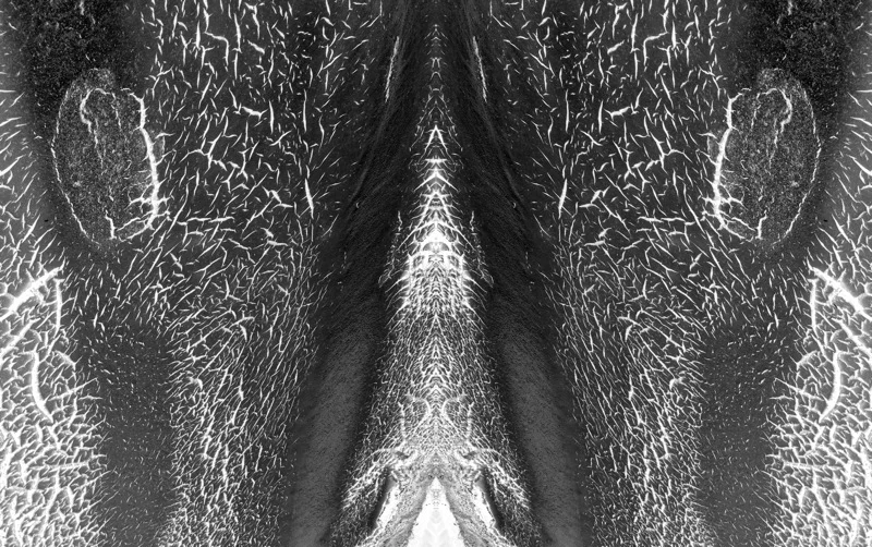 507958958_367463a64c_o.jpg