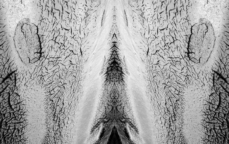 507959096_f3d44ce033_o.jpg