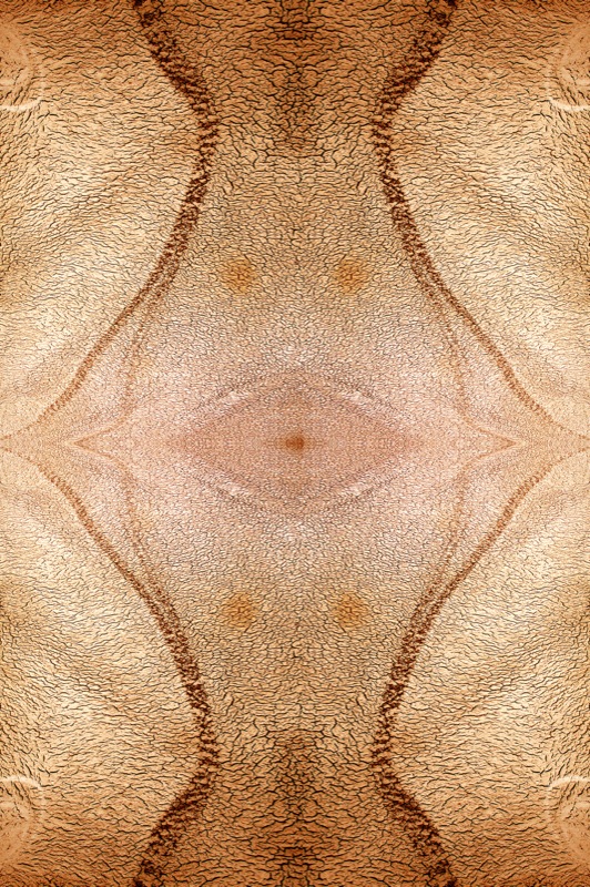 507988025_380fe73e6d_o.jpg