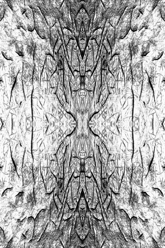 507960252_6e3e138a56_o.jpg
