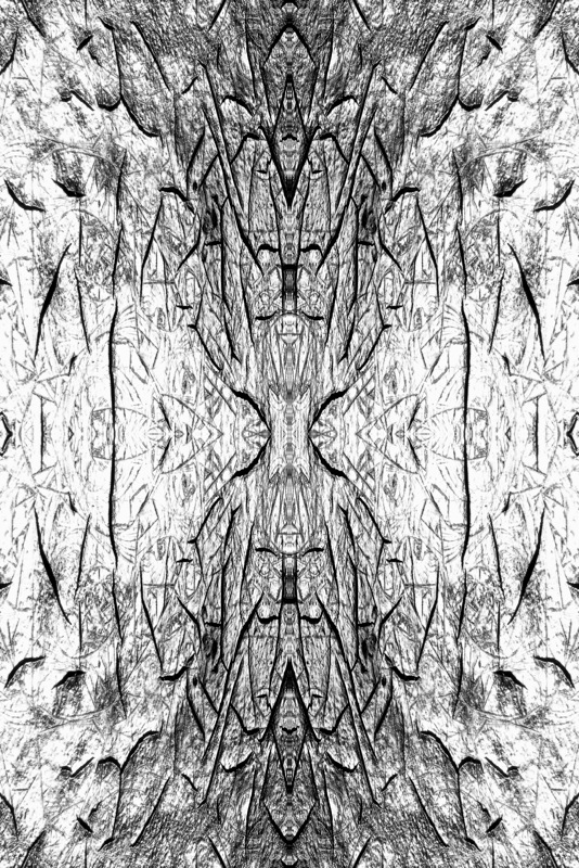 507960252_6e3e138a56_o.jpg