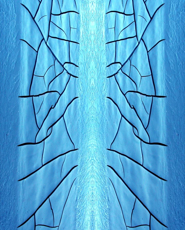 507991989_d18ff7314c_o.jpg