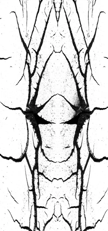 507995241_d07ee9a195_o.jpg