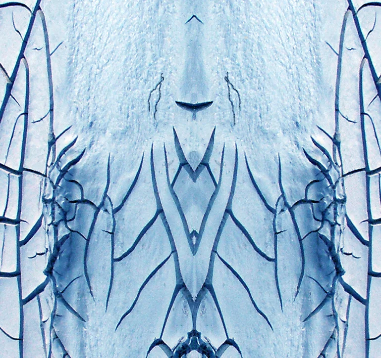 507963726_b882f44e3b_o.jpg