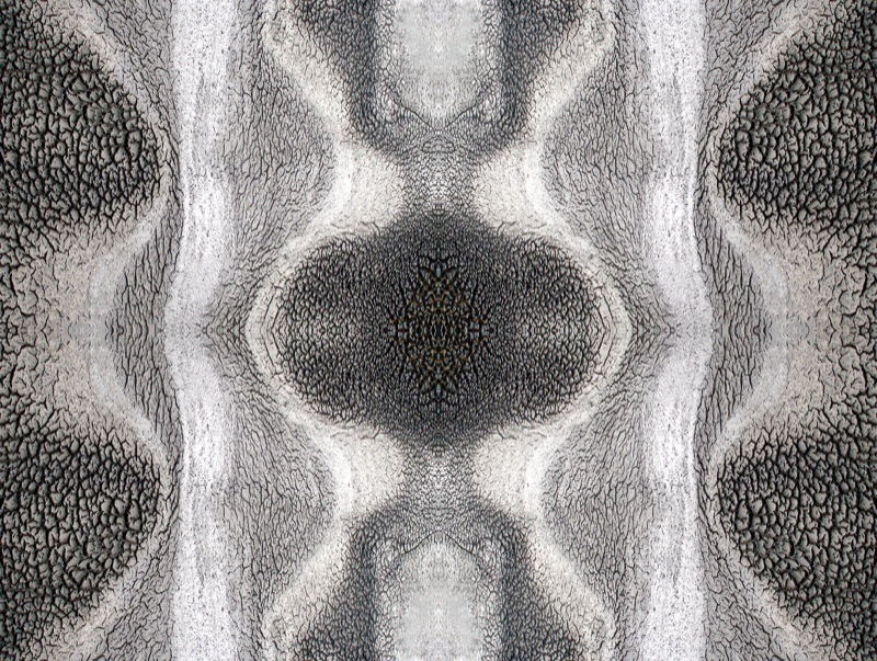507990623_b7037c60a9_o.jpg