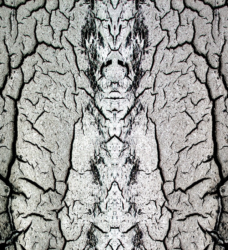 507964904_39f3f7f14f_o.jpg