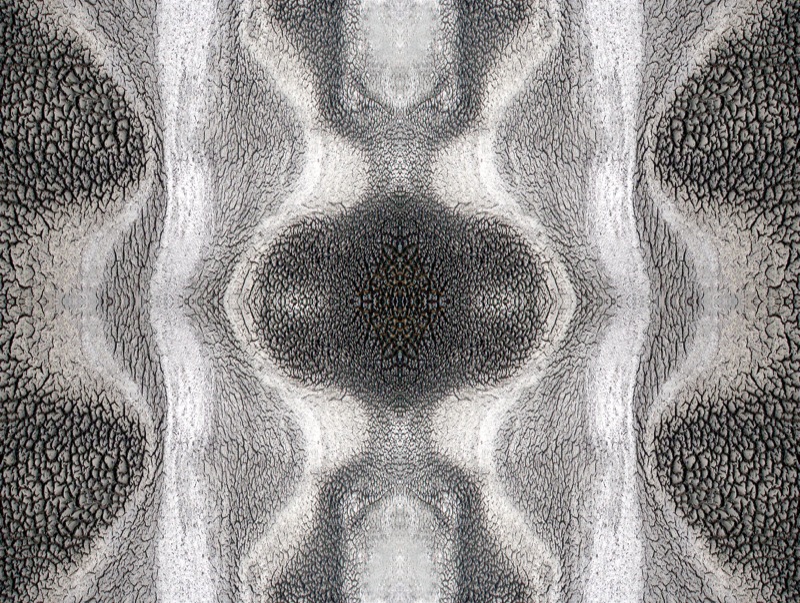 507962494_77ffdec058_o.jpg