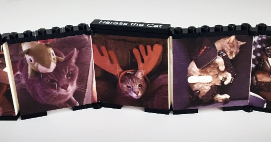 Marvin is the most chill cat ever, loved by his owner, and  printed on a folding LEGO wall.