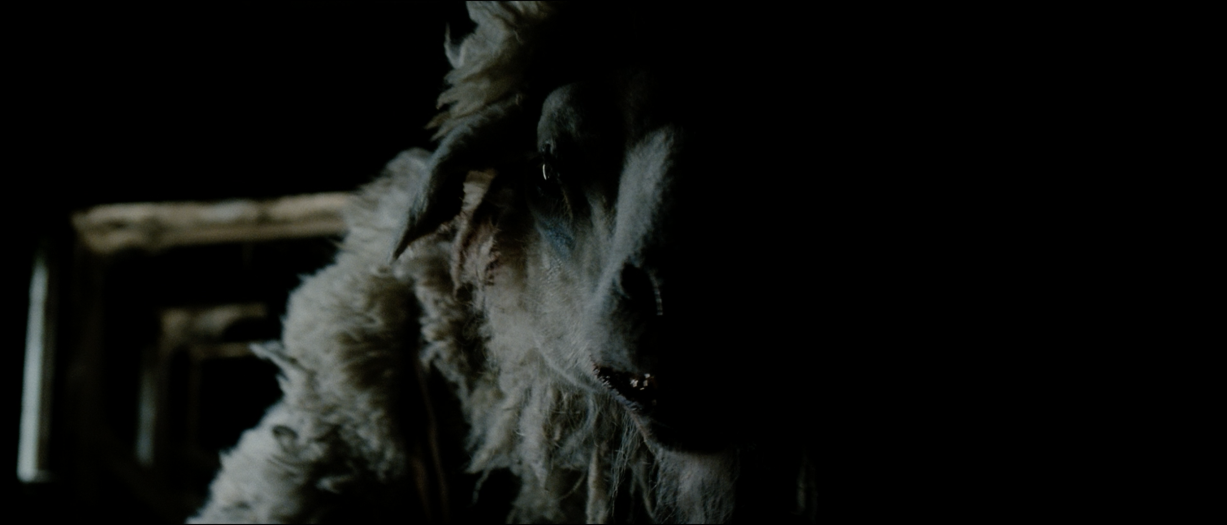 Screen Shot 2018-07-15 at 1.04.43 PM.png