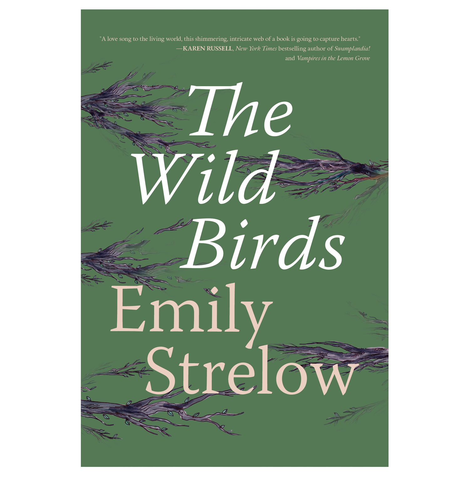 THE WILD BIRDS website.png