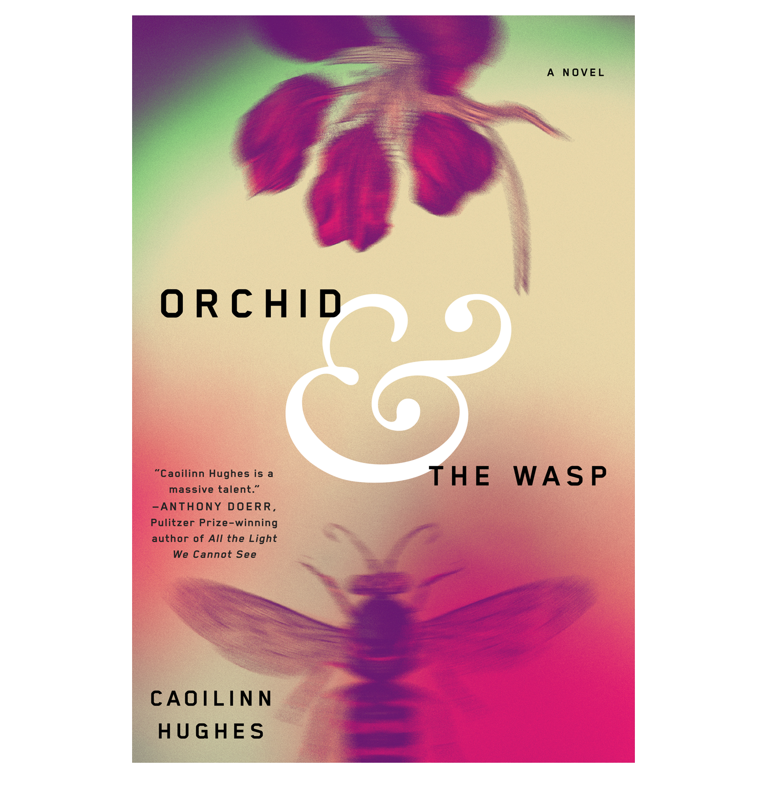 ORCHID website.png