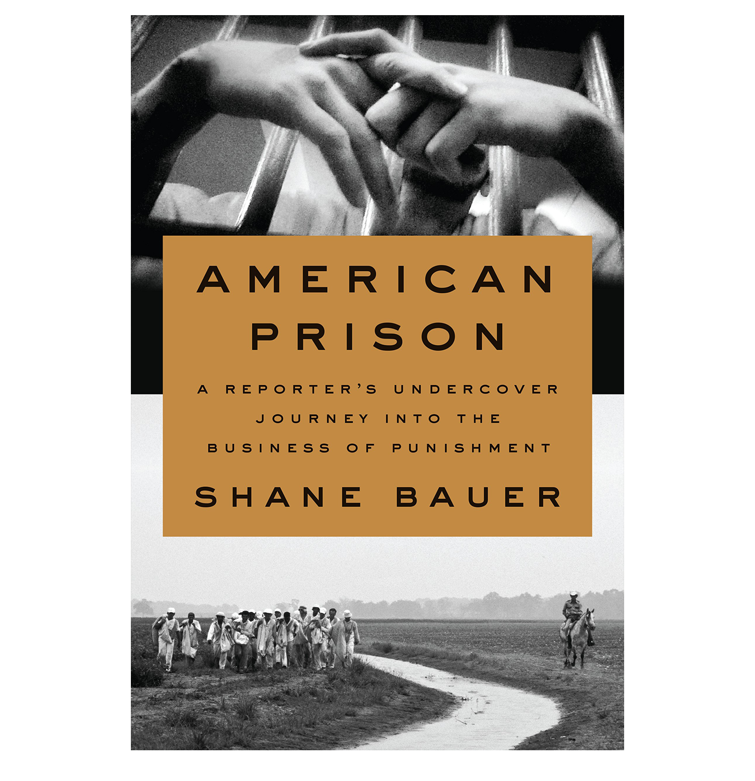 AMERICAN PRISON website.png