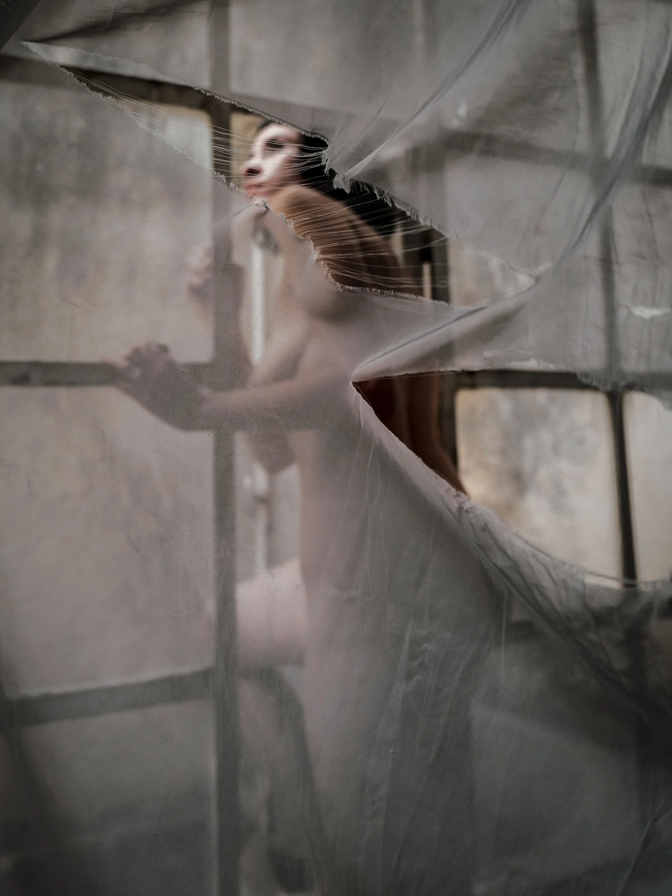 01_Veiled-L1030102- by SRDR.jpg