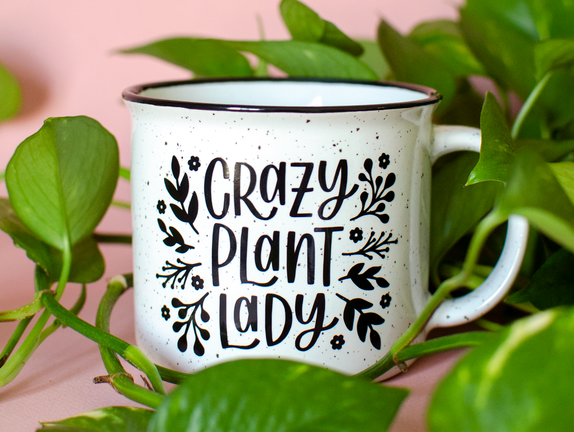 CrazyPlantLady_smlv2.png