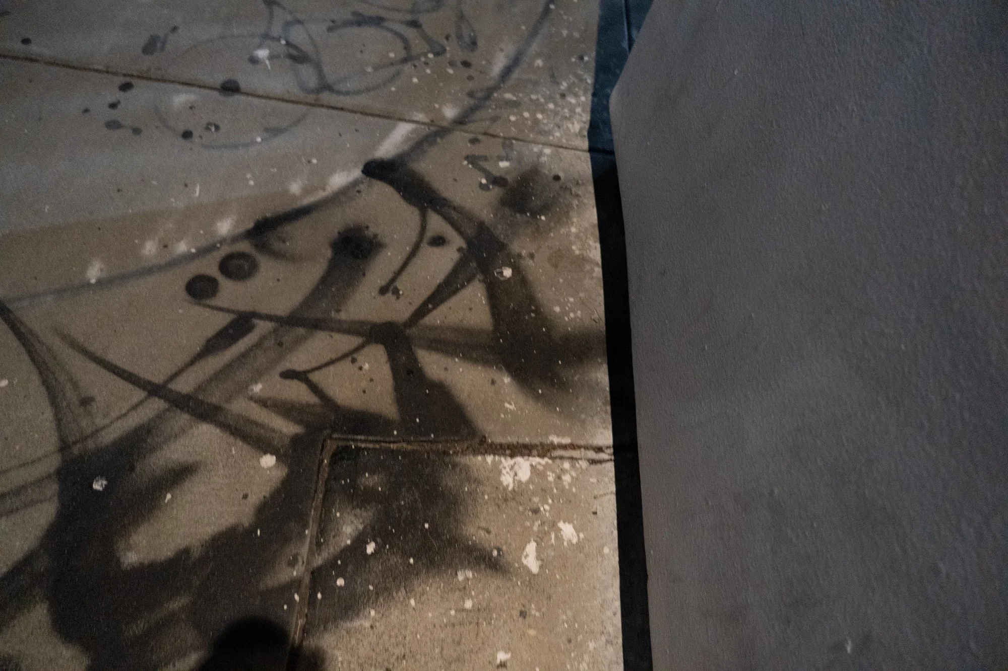 DSC08086.jpg