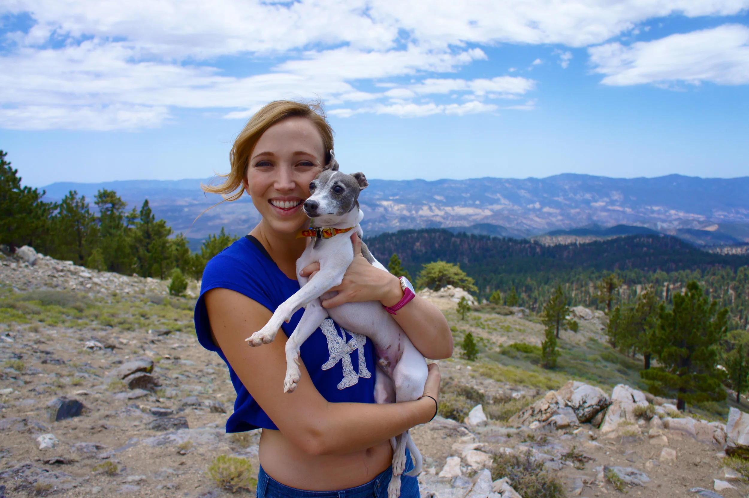 All Things Mt. Pinos