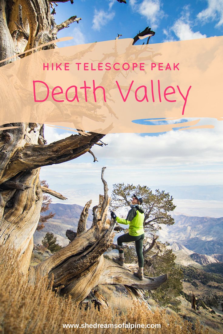 hike-death-valley-national-park-telescope-peak-california-bristlecone-pine-tree
