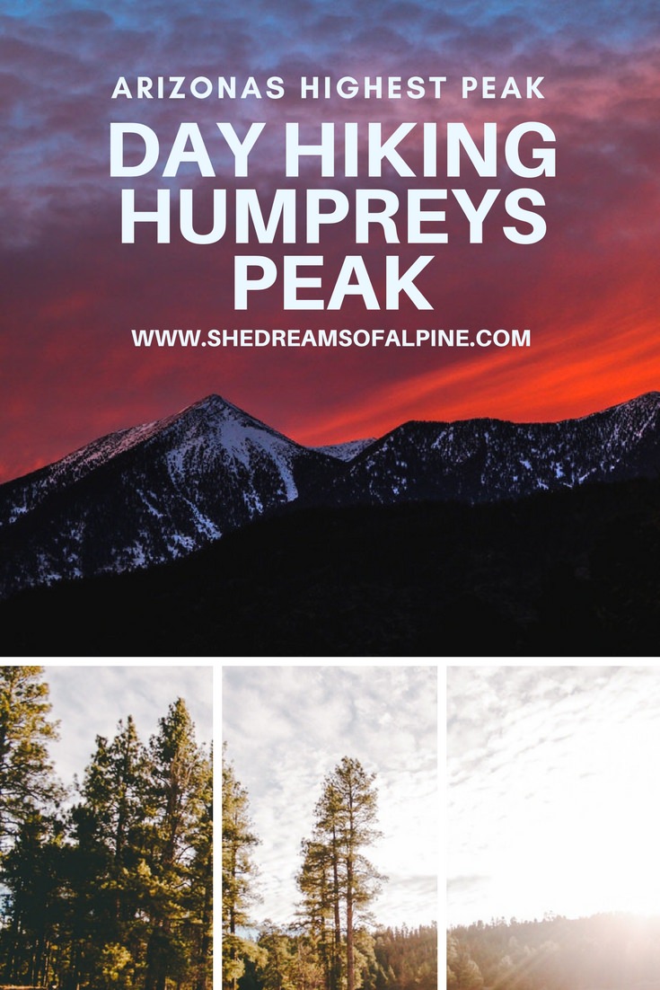 10 Miles Day Hiking Humphreys Peak Trail in Arizona