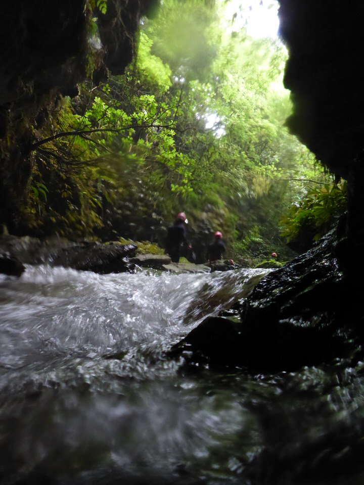 glow-worm-caves-waitomo-new-zealand-north-island