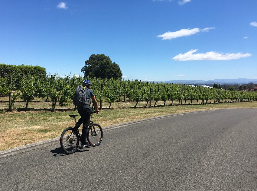 biking-through-vineyards-hawkes-bay-new-zealand-north-island