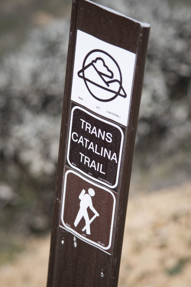 trans-catalina-trail-marker