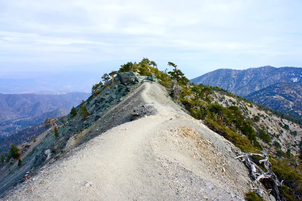 Your Ultimate Guide to Hiking Mount Baldy — She Dreams Of Alpine