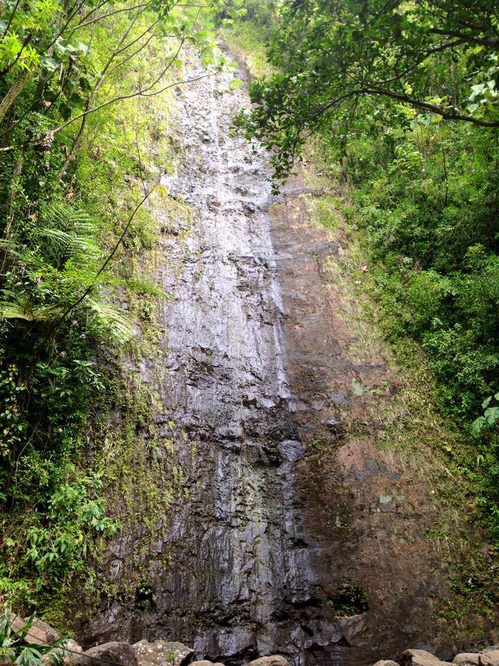 Manoa Falls trail is one of the best hiking trails in Oahu with waterfalls.