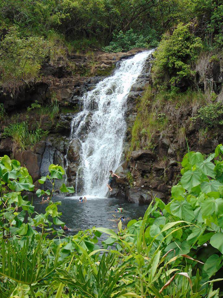 Waimea falls is one of the best waterfall hikes in Oahu.
