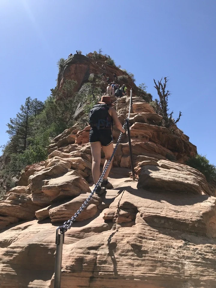 The ULTIMATE Guide to the Angels Landing Hike in Zion National Park — She Dreams Of Alpine