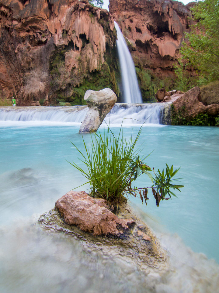 havasu-falls-waterfall