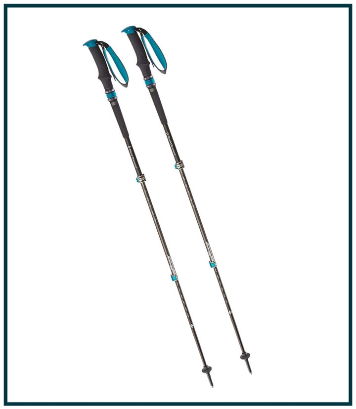 I bring my hiking trekking poles on every day hike! These are some of the best hiking gear to invest in.