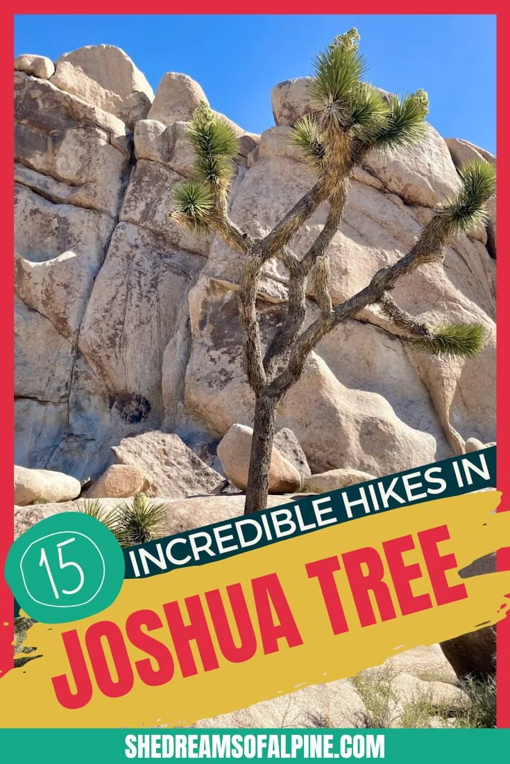 15 Incredible Joshua Tree Hikes to Explore the Desert