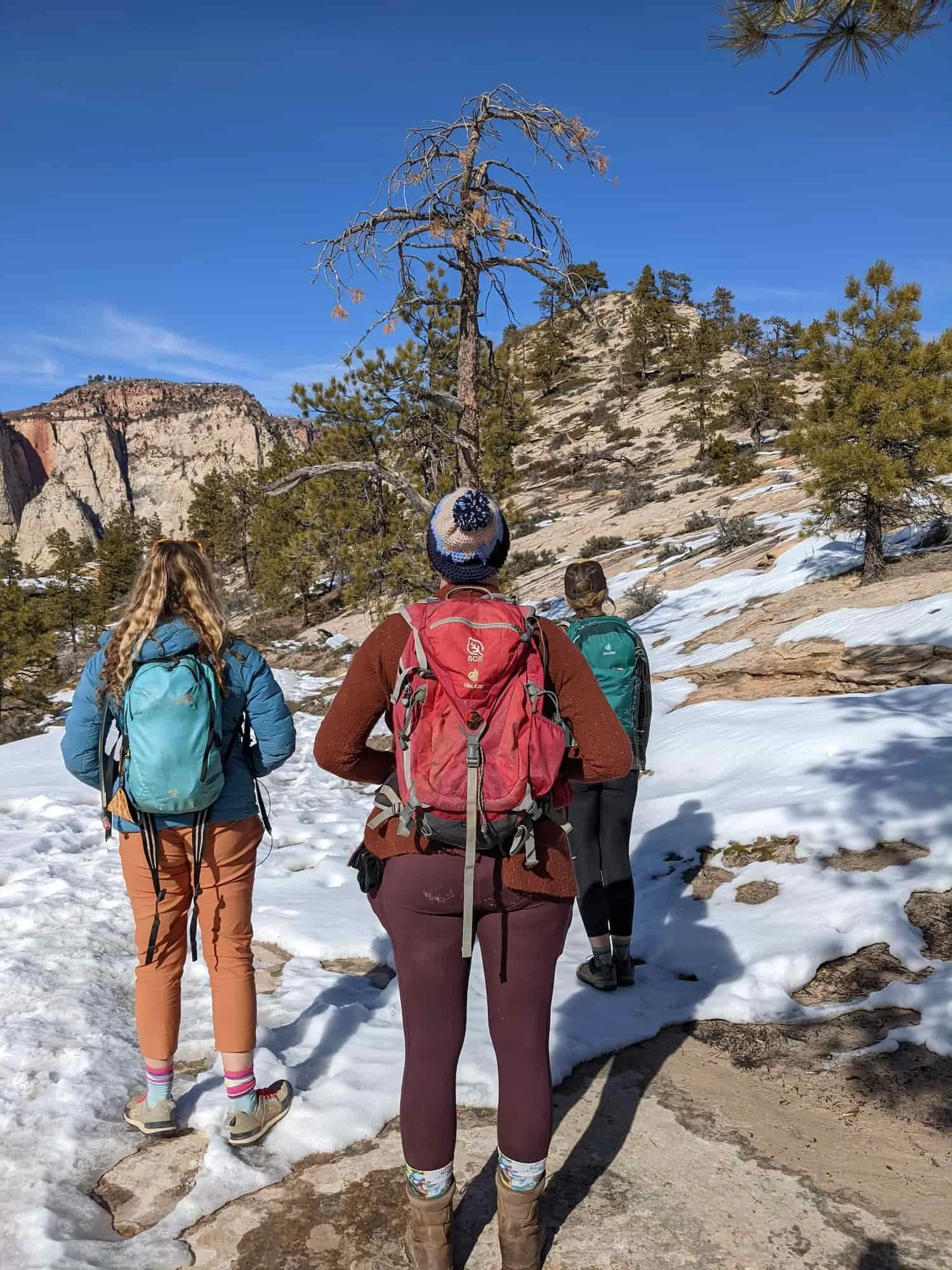 Cold Weather Trekking Dress For Women Women's Winter Outdoor