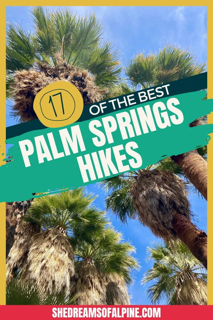 17 Awesome Palm Springs Hikes in Southern California — She Dreams Of Alpine