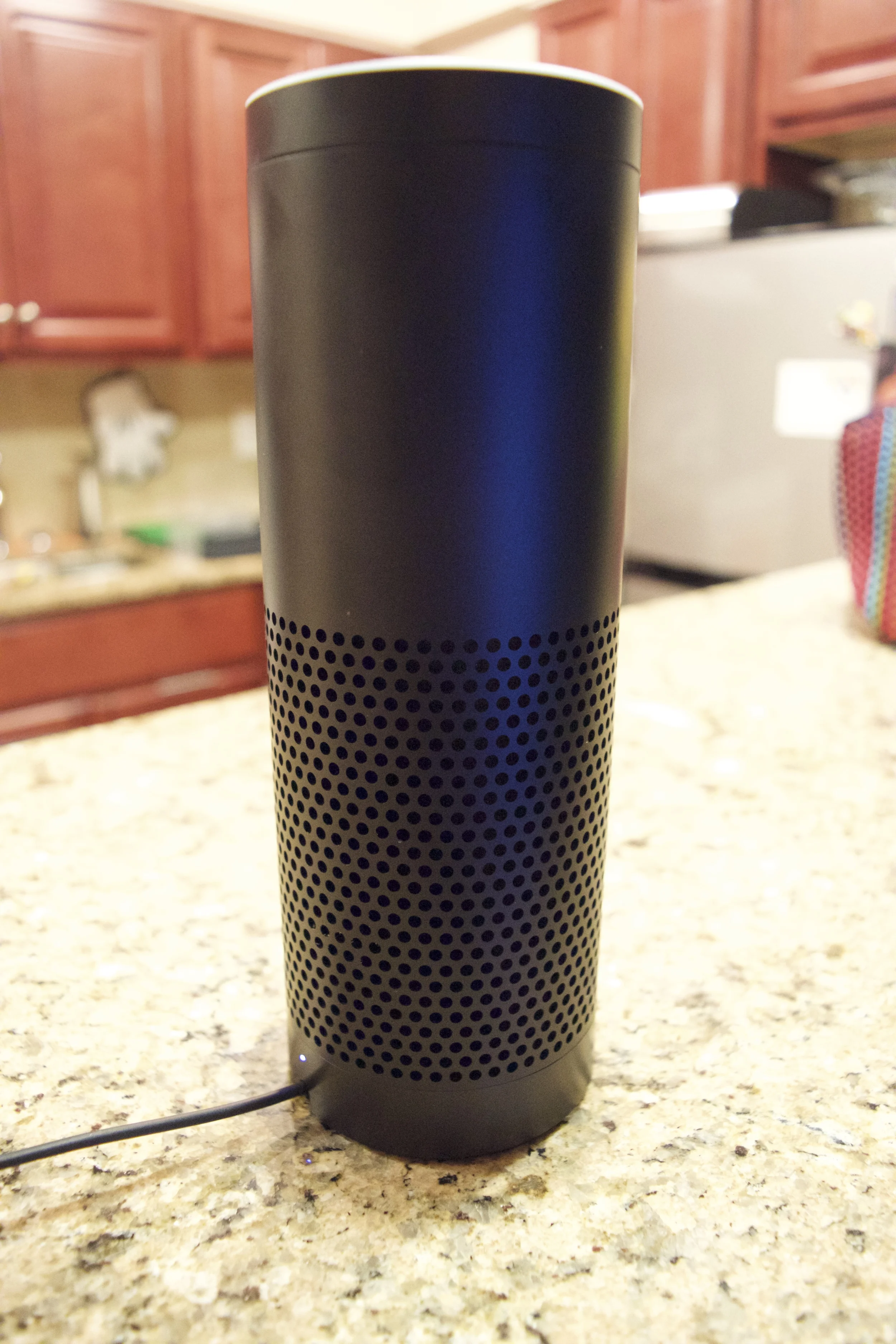 echo3.jpg