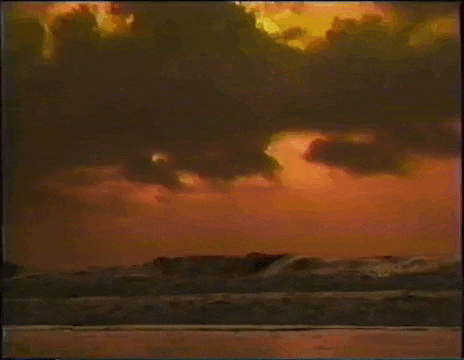 beach.gif