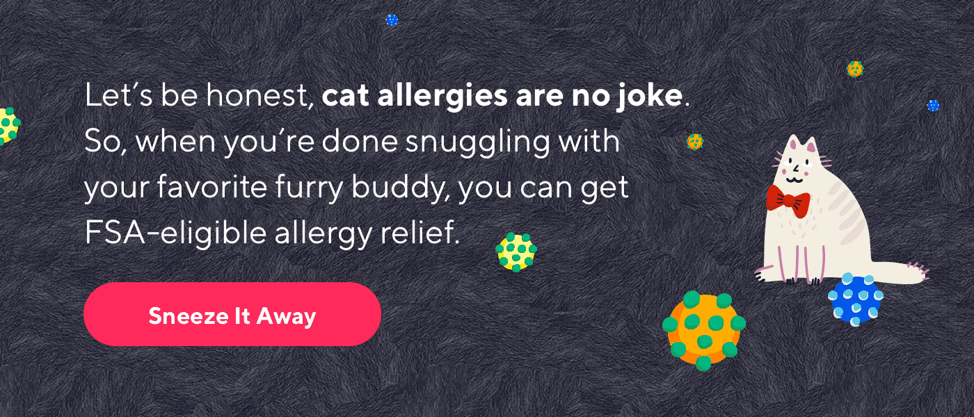 catdayemail_allergies.png