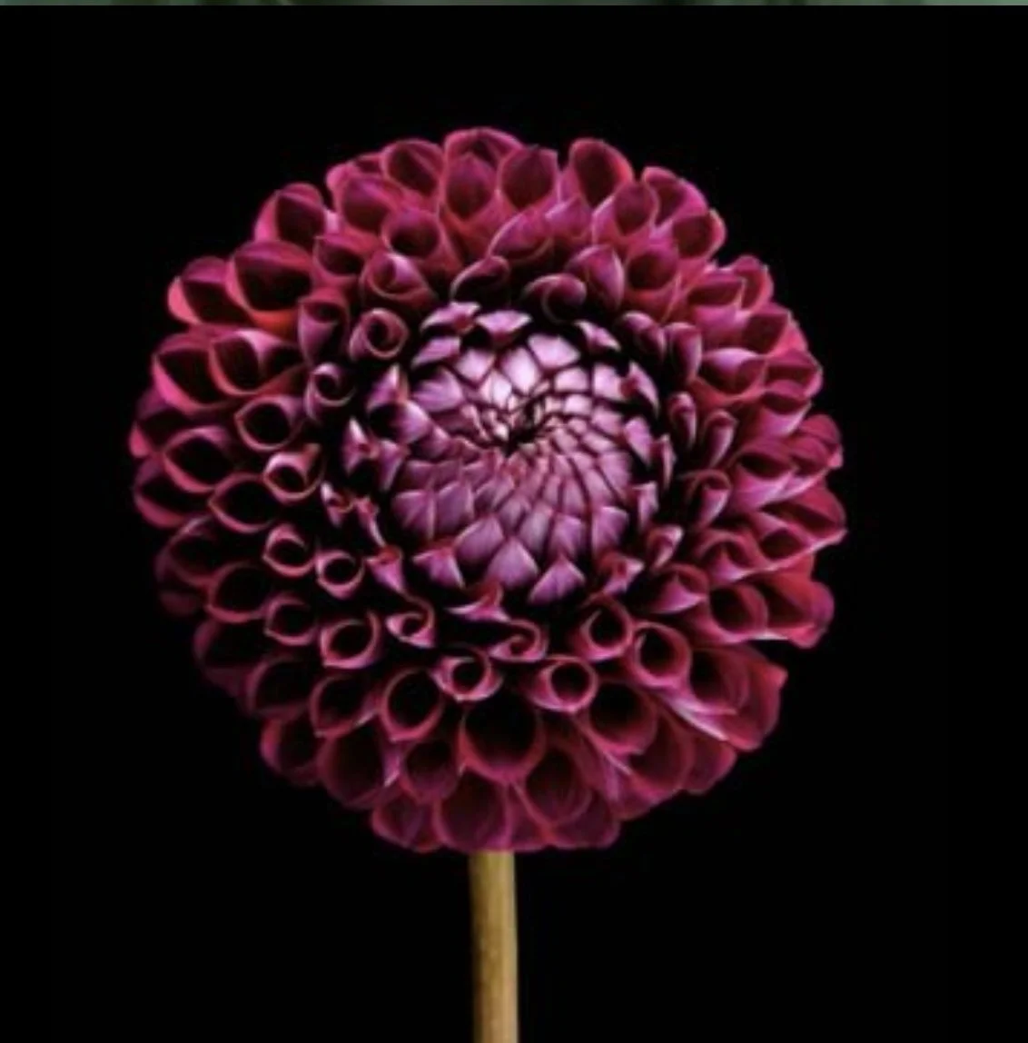 COVER Strategy and.jpg