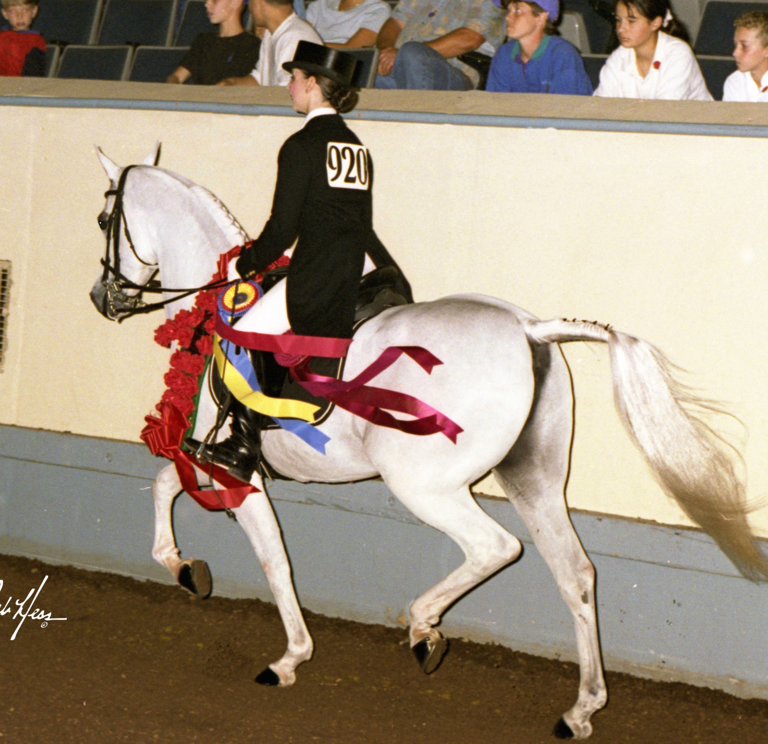 Achoo Tilted For Pinterest.jpg