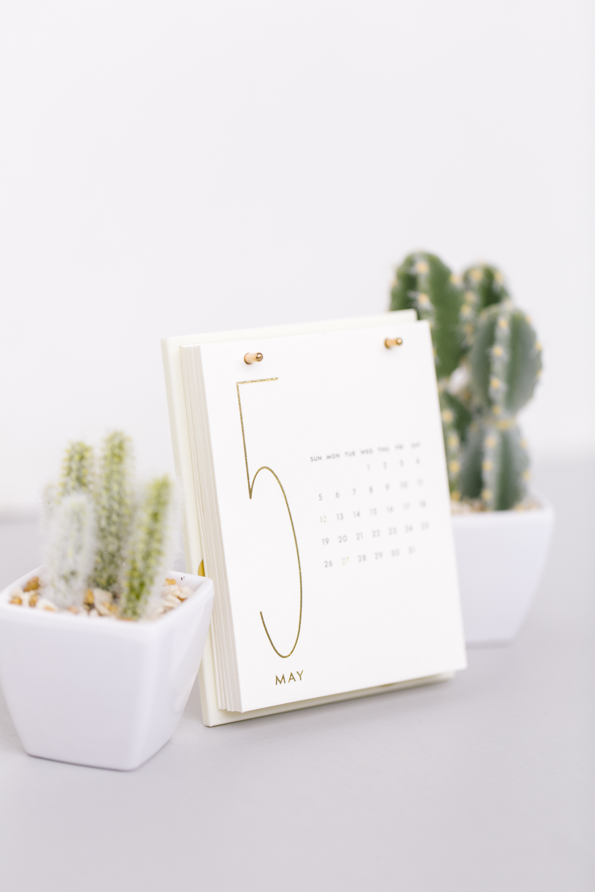 What You Need to Know Before Launching a Membership Site
