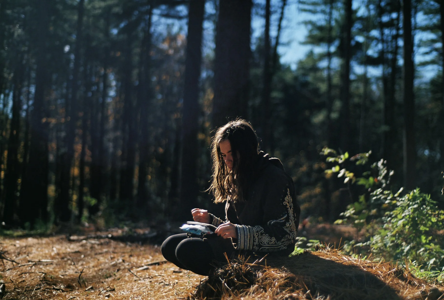 Photo by Doug Robichaud/ Unsplash