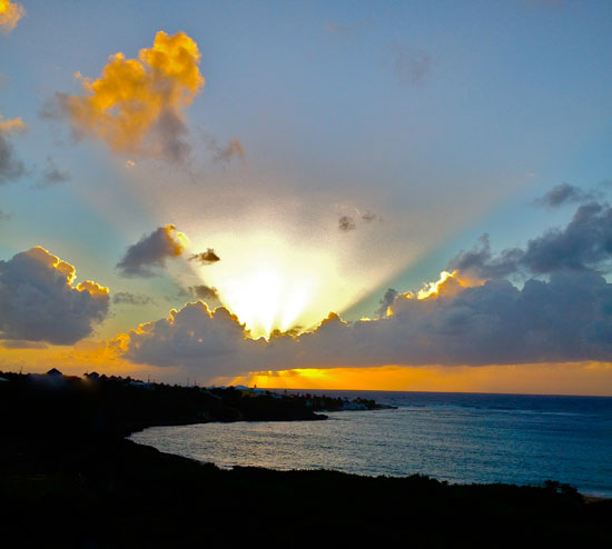  Sunrise at the Bird of Paradise by C.R., Orlando, Florida 