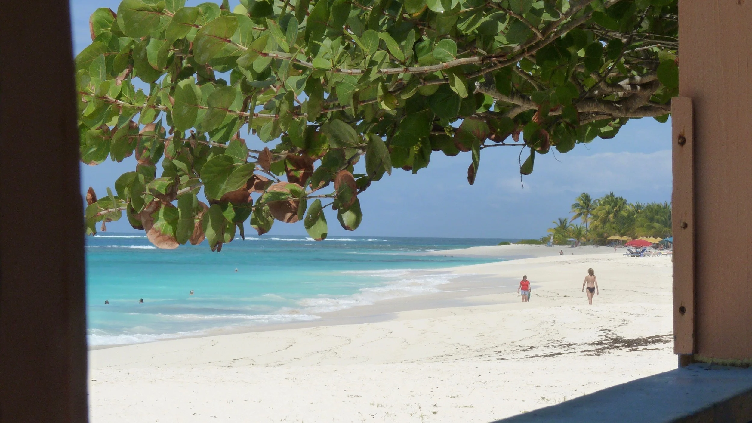 Shoal Bay
