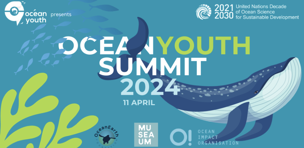 Screenshot 2024-05-02 at 2.55.02 PM.png