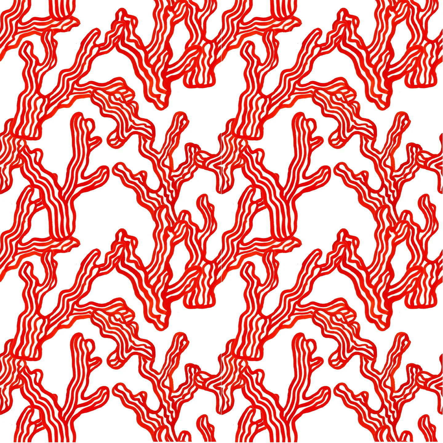 coral 1