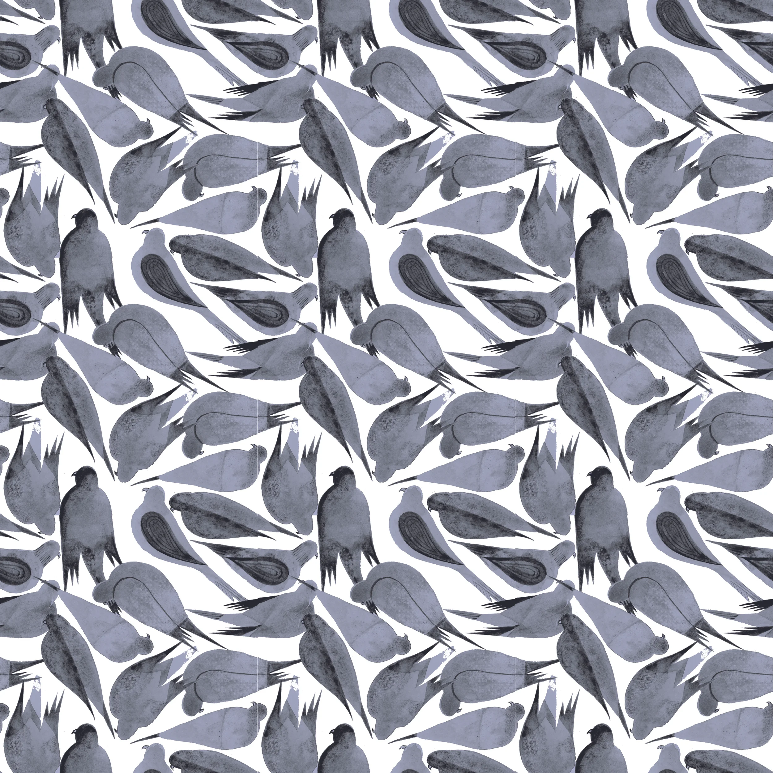 Pigeons