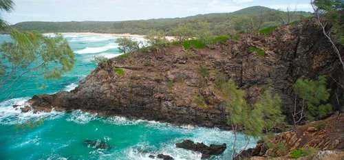 rwta_bushwalk1.jpg