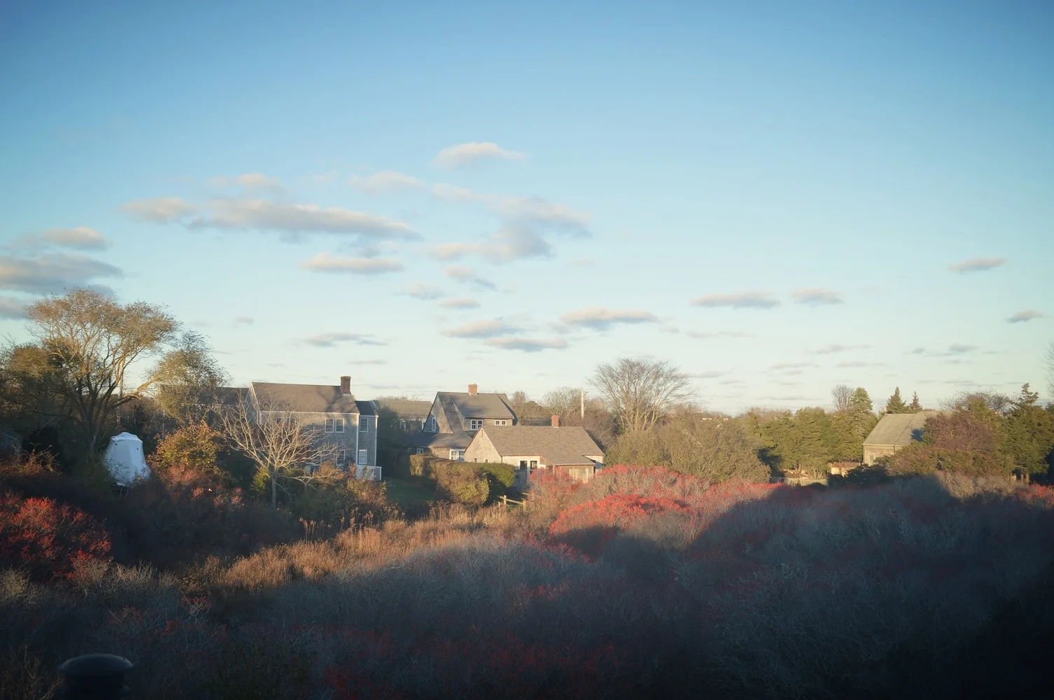 Winter view of wooded Polliwog Pond behind house
